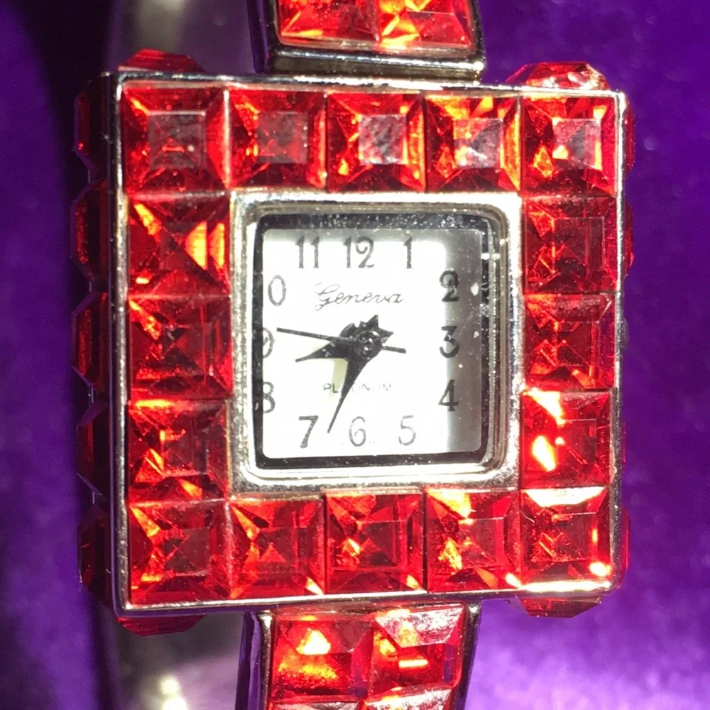 Ladies’ Geneva Watch